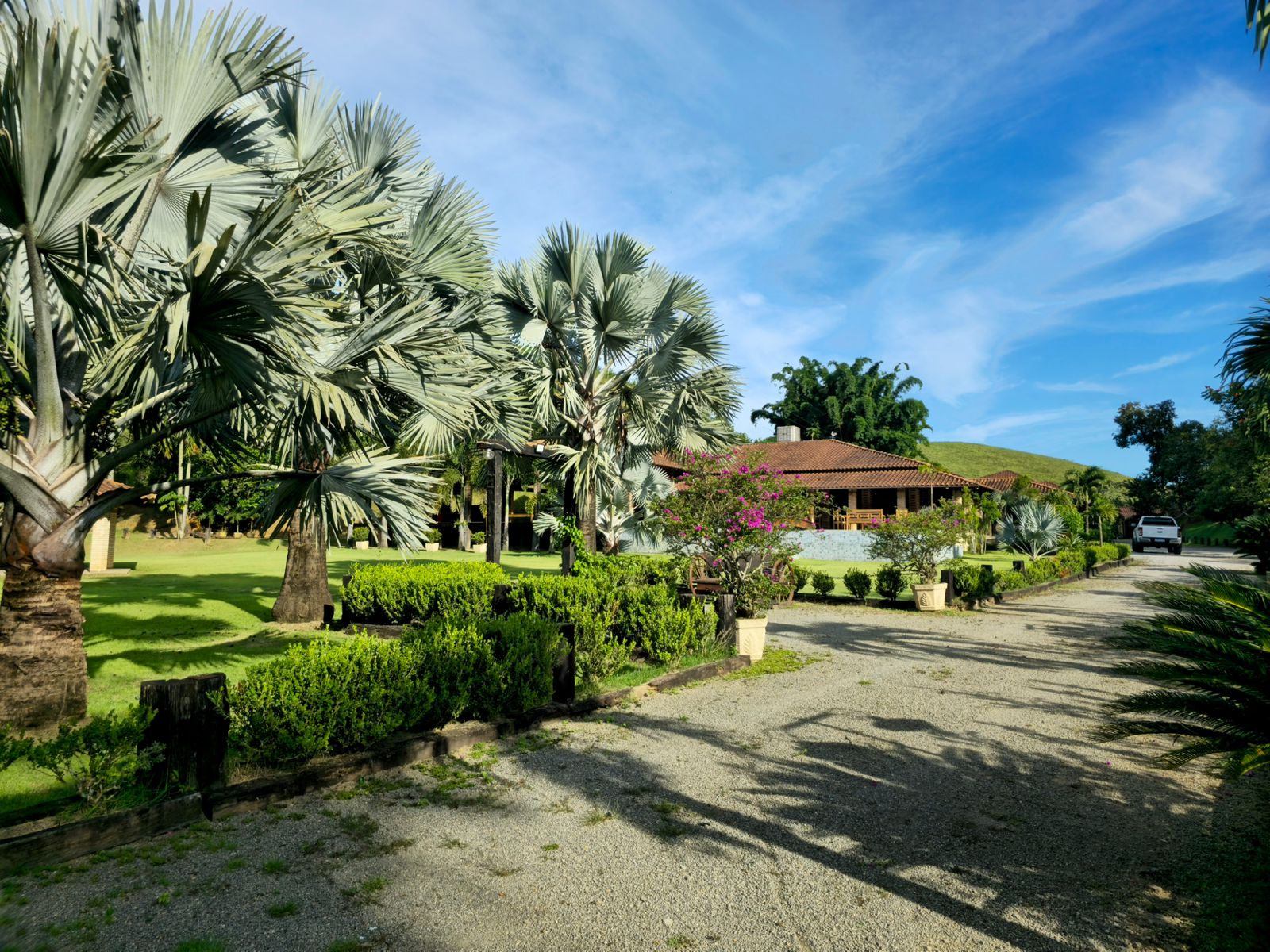 WhatsApp Image 2025-04-15 at 08.56.04 (4).jpeg